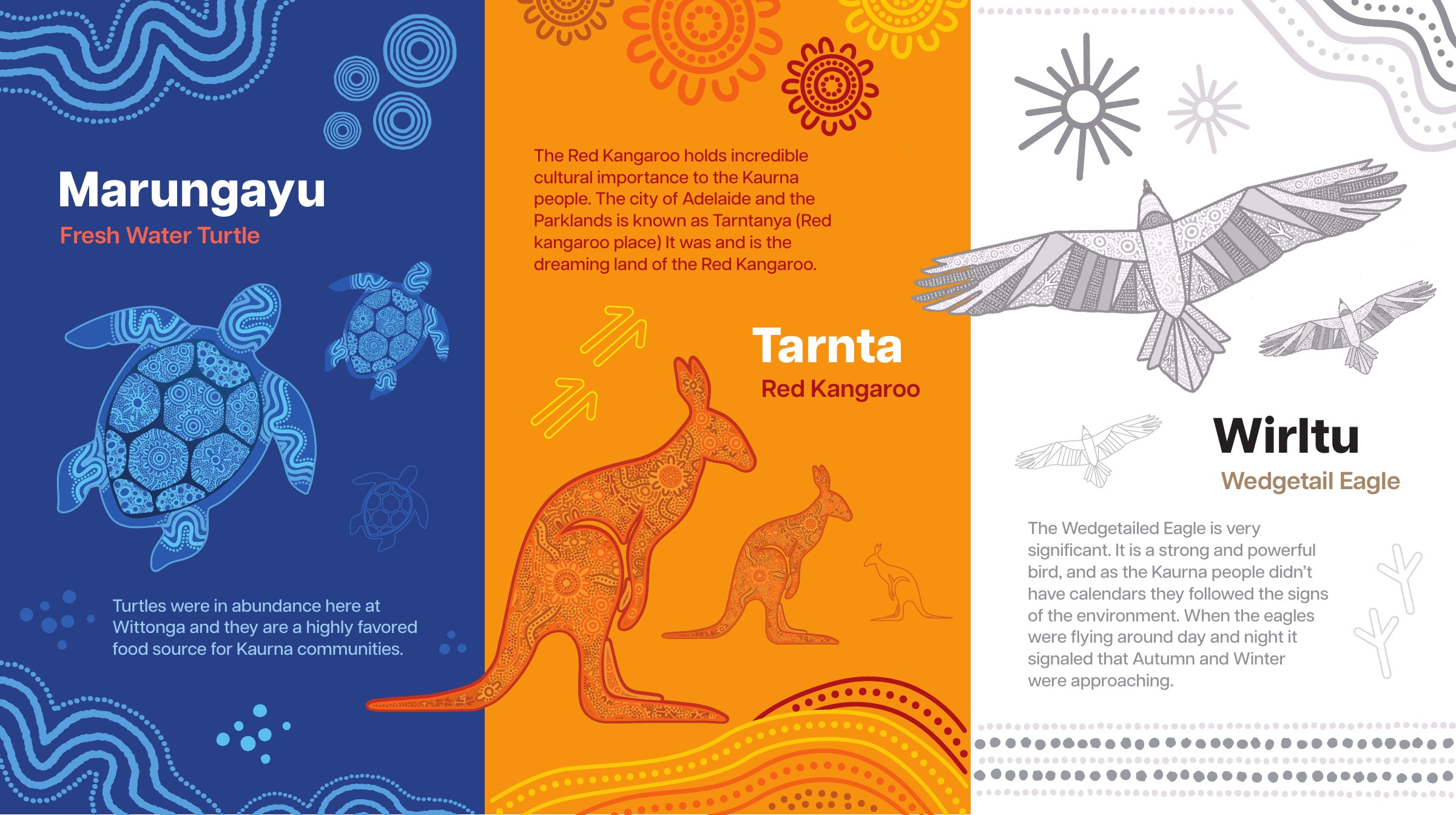 Seaton High School cultural house display design system