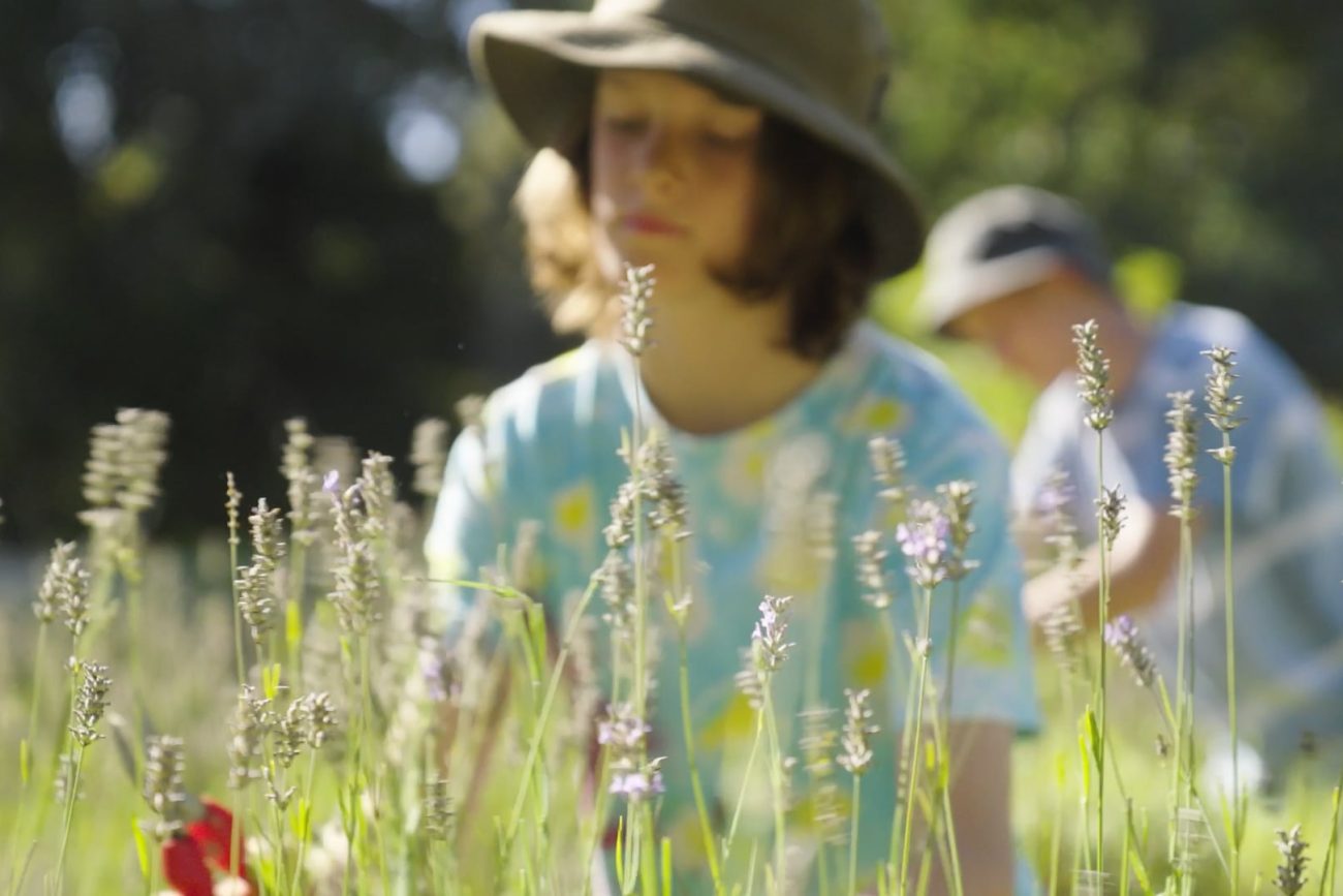 Waldorf School
