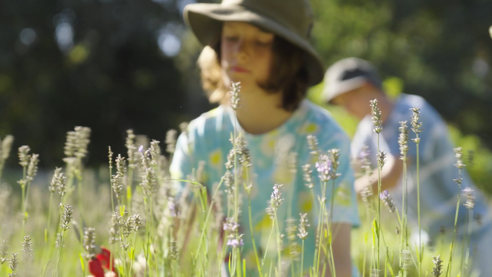 Waldorf School