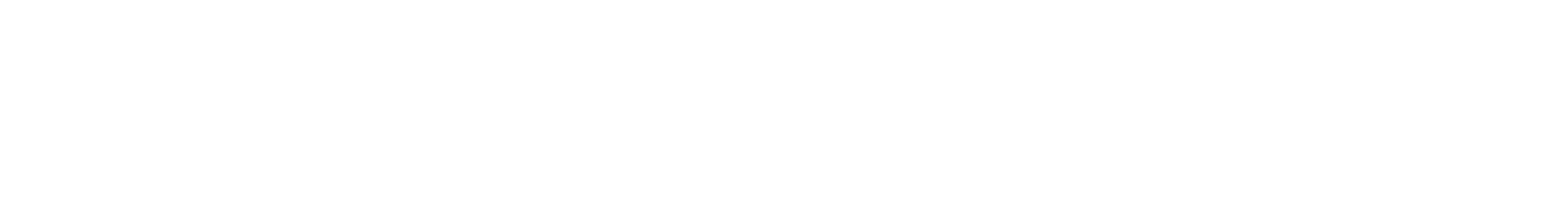 Visualizm