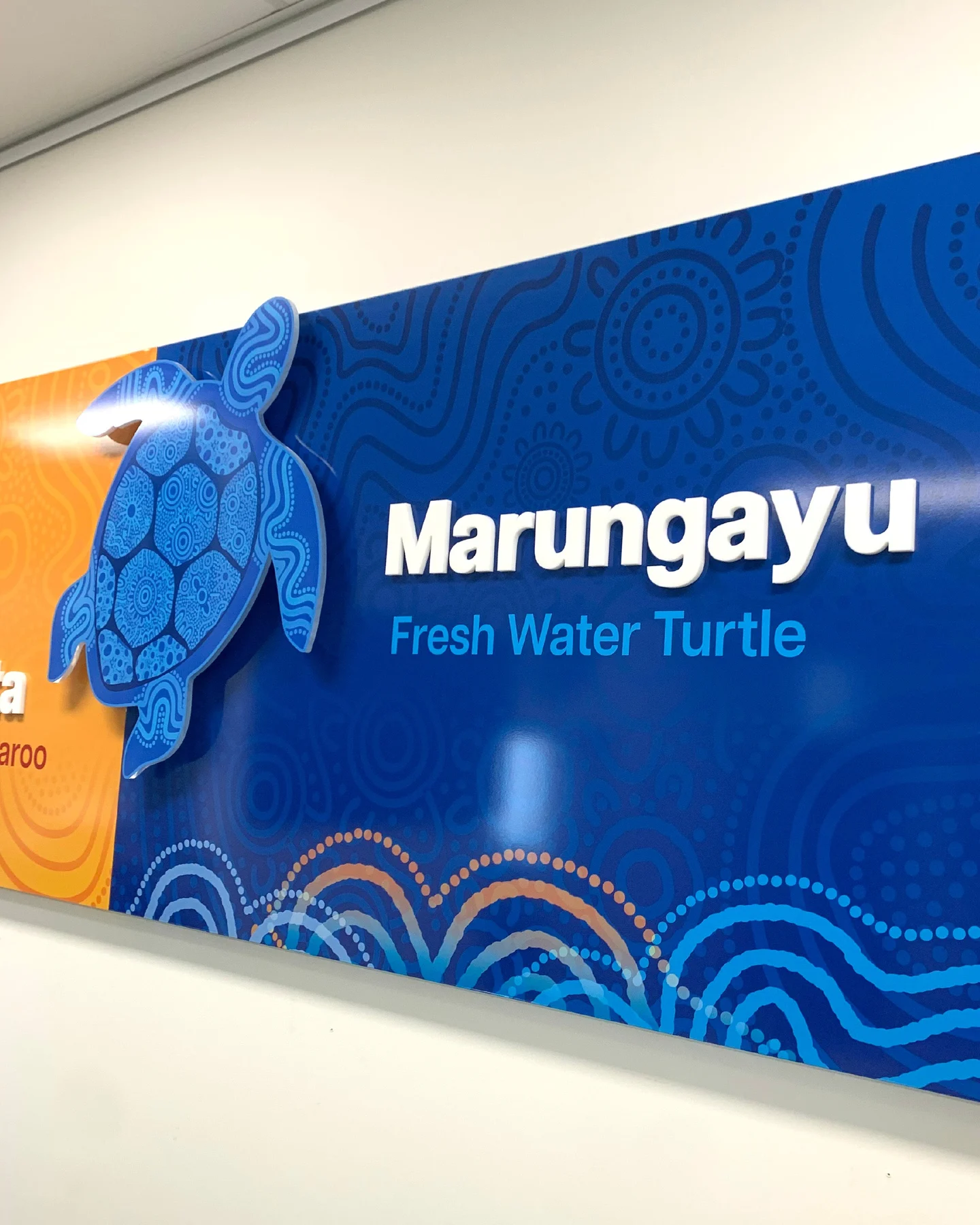 Seaton High School environmental graphics and wayfinding